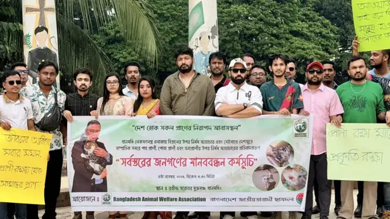 ধানমন্ডিতে একের পর এক চোখ উপড়ে ফেলা হচ্ছে বিড়ালের, তদন্তে পুলিশ