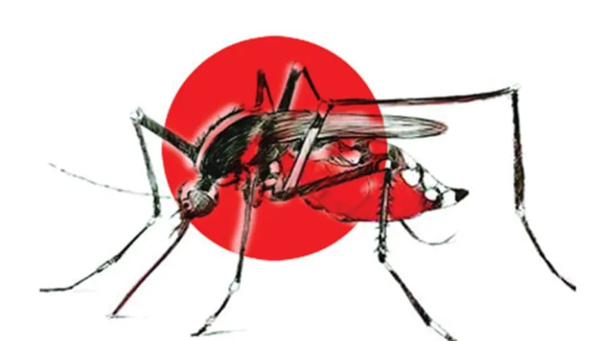 ডেঙ্গু পরিস্থিতি উদ্বেগজনক, এক মাসেই ৯৯ জনের মৃত্যু