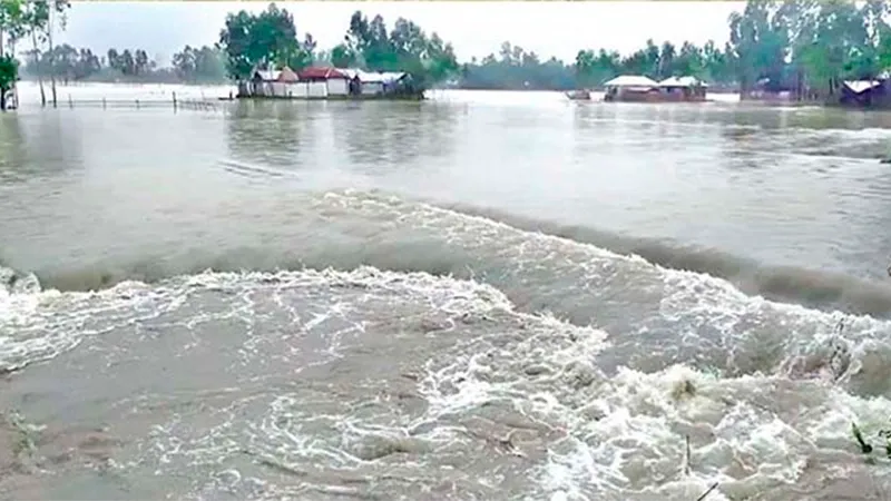 Flood 2